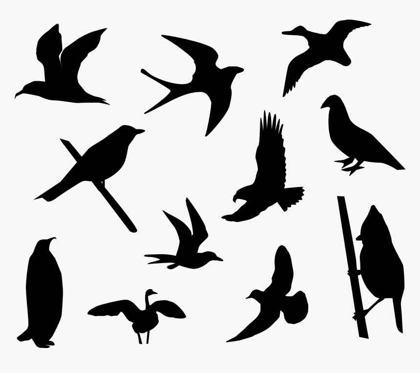 Birds Sparrows Doves Free Picture - Cartoon Bird Silhouette, HD Png Download, Free Download