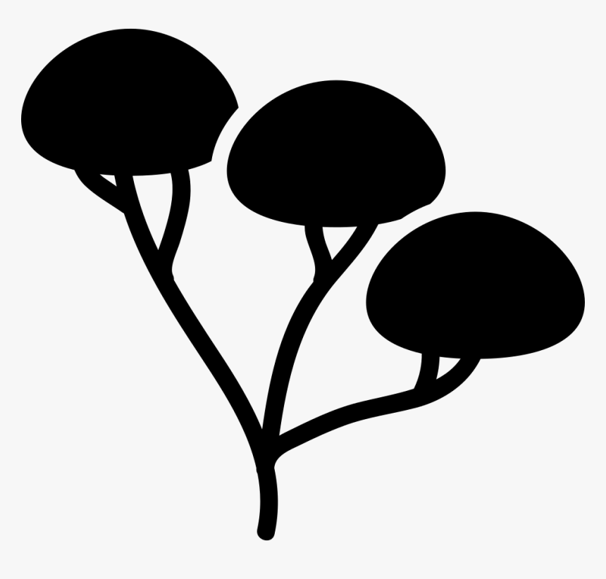 Tree Of Three Branches And Foliage Areas Vector - 3 Tree Branches, HD Png Download, Free Download