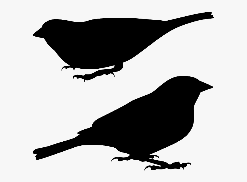 Silhouette Moineau, HD Png Download, Free Download