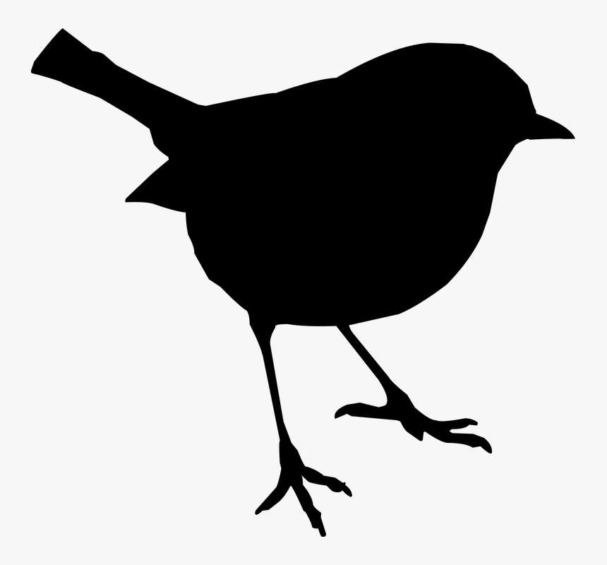 Bird, Stand, Silhouette, Nature, Bird Life - Bird Svg, HD Png Download, Free Download