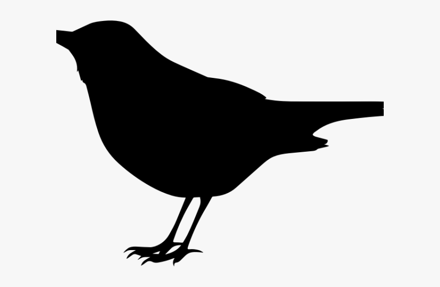 Blackbird Clipart Transparent - Mockingbird Black And White Clipart, HD Png Download, Free Download