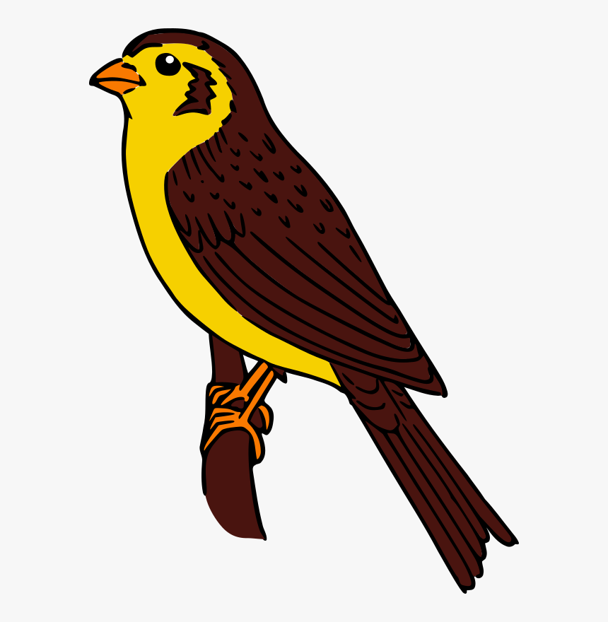 Sparrowhawk Clipart, HD Png Download, Free Download