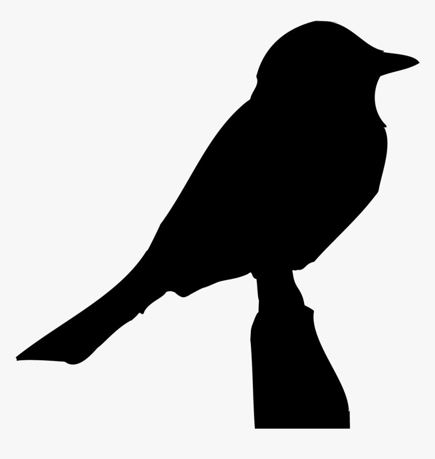 Bird Shape, HD Png Download, Free Download