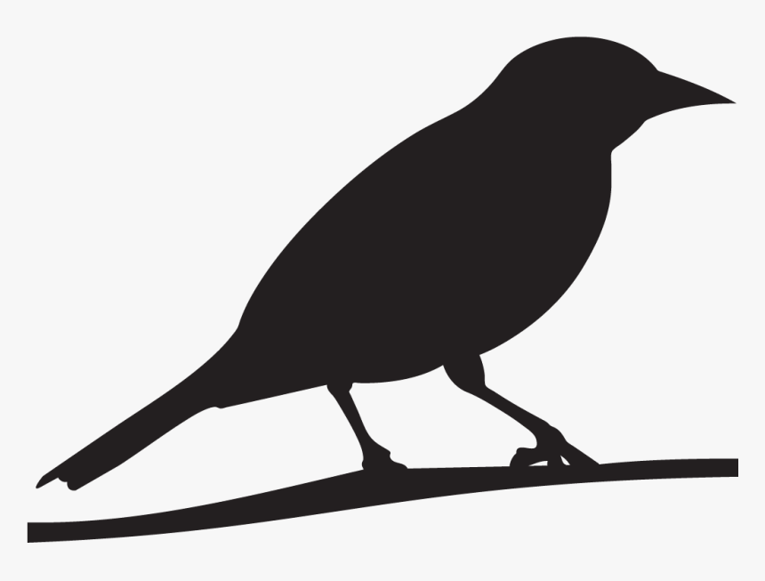 Blackbirds - Oriole Bird Silhouette, HD Png Download, Free Download