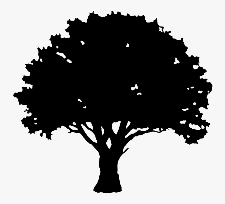 Dead Tree Silhouette Png -excelent Tree Silhouette - View Wootton Wawen Menu, Transparent Png, Free Download