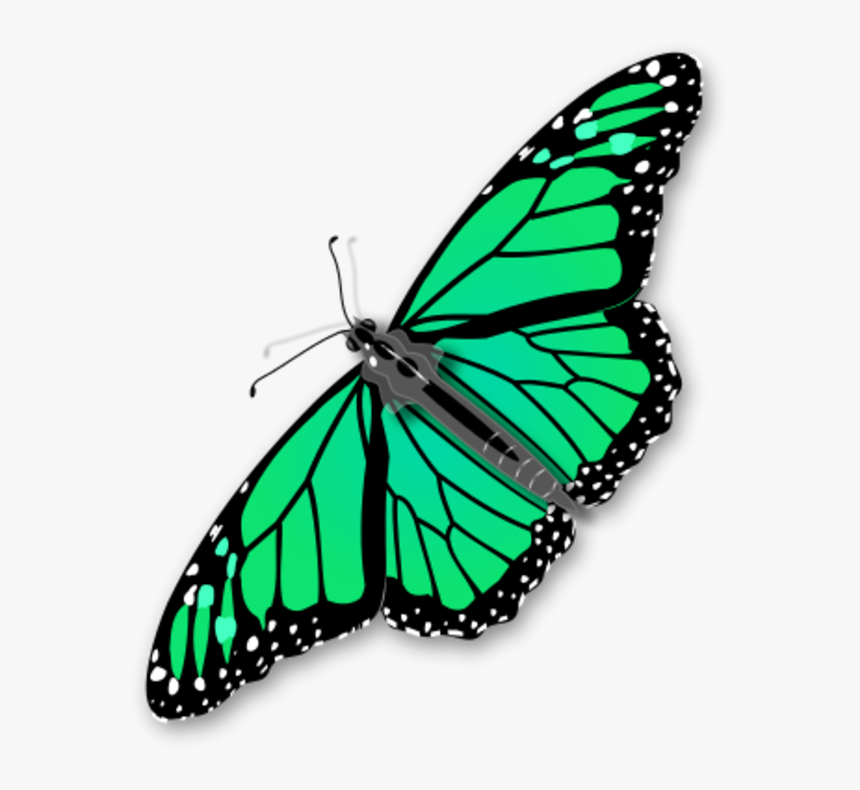 Monarch Butterfly Vector Clip Art - Monarch Butterfly Transparent Background, HD Png Download, Free Download