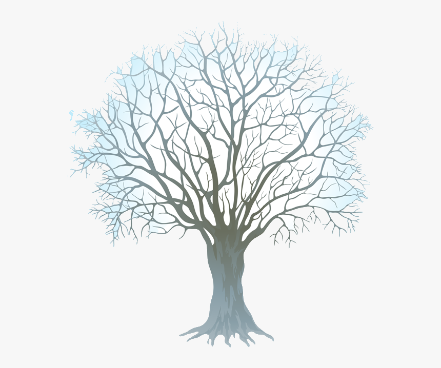 Winter Tree Clip Art Free Transparent Png - Winter Tree Transparent Background, Png Download, Free Download