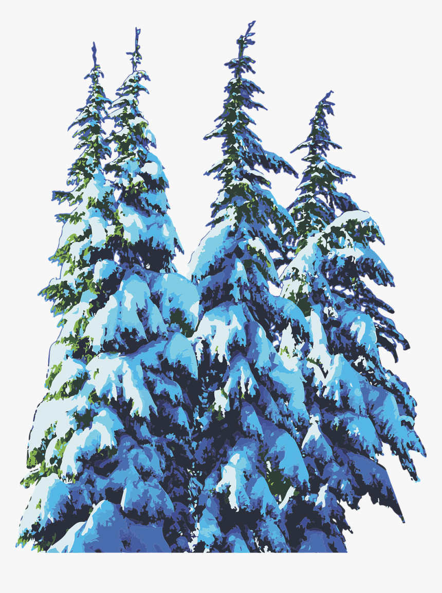 Pine Trees, Snow, Winter, Christmas - Snow Winter Christmas Pine Tree, HD Png Download, Free Download