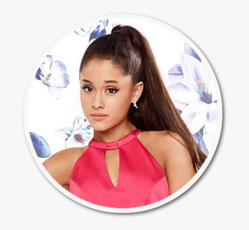 Bio About Facts Family - Dresses Ariana Grande Wore, HD Png Download, Free Download