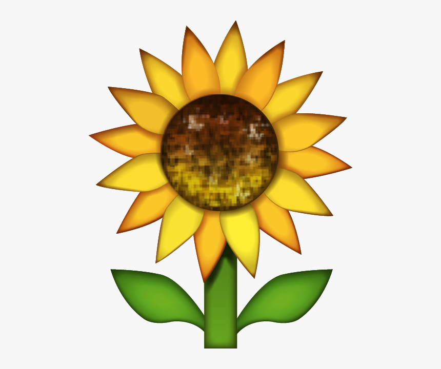 Sunflower Emoji Transparent, HD Png Download, Free Download