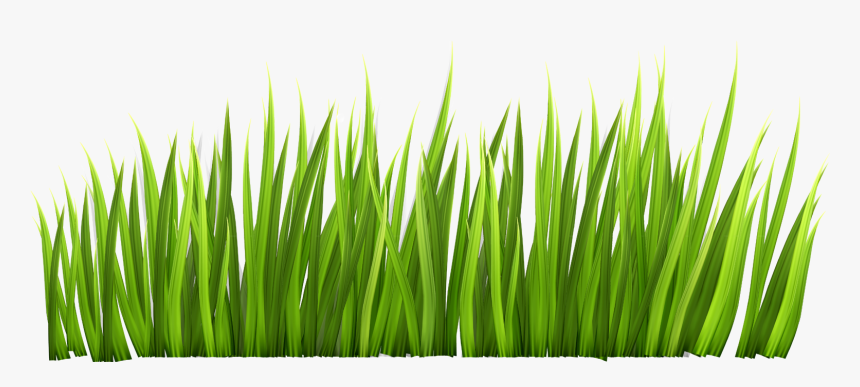 Transparent Clipart Image Grass Png Decor Clipart Picture - Transparent Background Grass Clipart, Png Download, Free Download