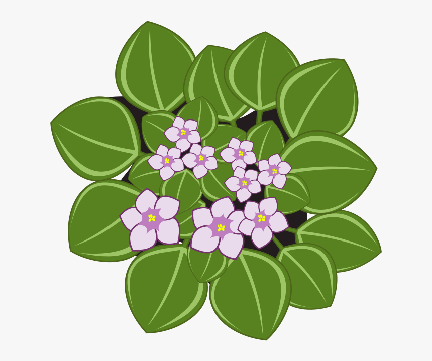 Transparent Africa Vector Png - African Violets, Png Download, Free Download