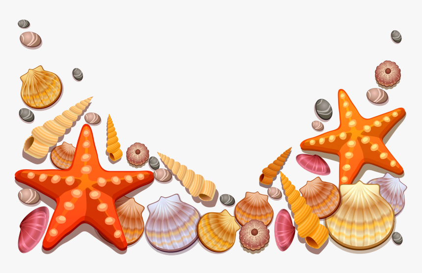 Seashell Decor Vector Sea Shells Free Download Image - Sea Shells Vector Png, Transparent Png, Free Download