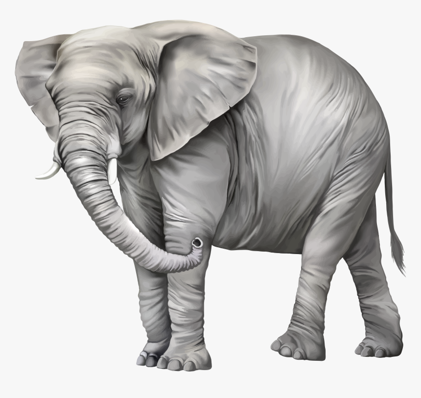 Transparent Africa Vector Png - Elephant Png Clipart, Png Download, Free Download