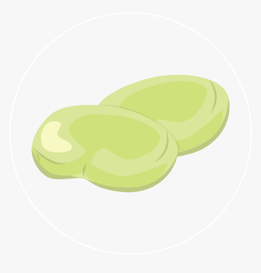 Fava Bean Icon - Circle, HD Png Download, Free Download