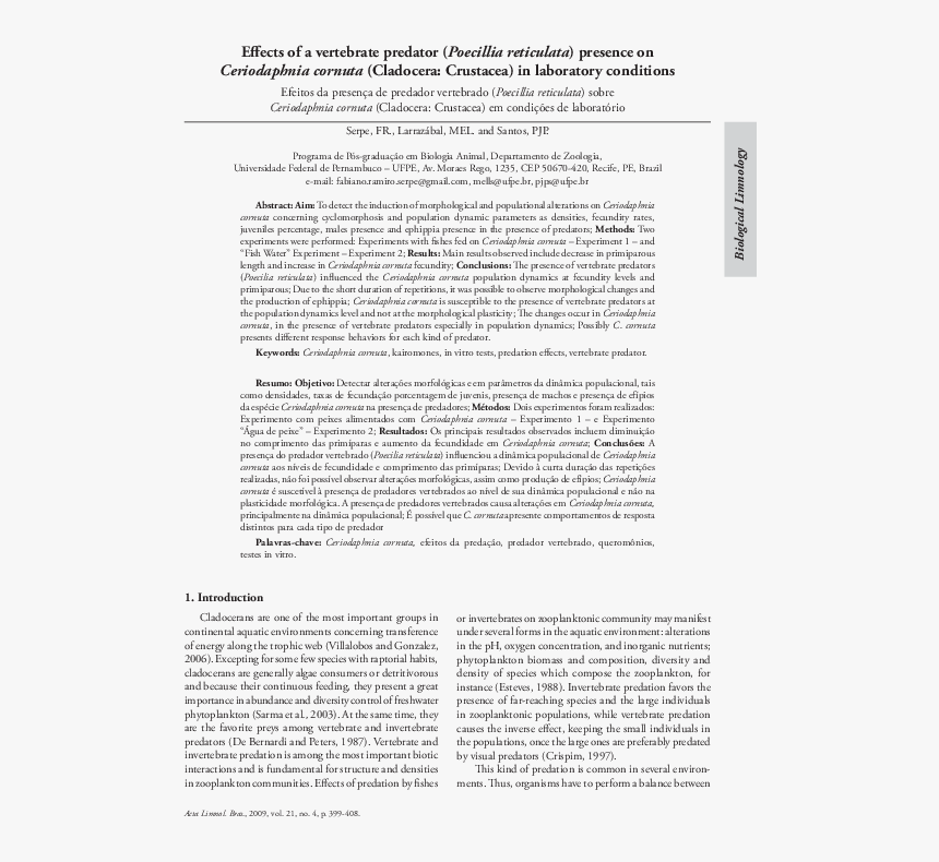 Death And The Lansquenet, HD Png Download, Free Download