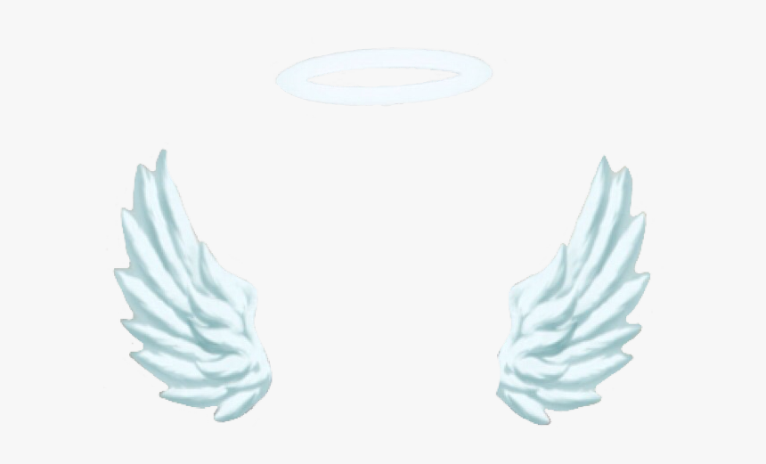 Snapchat Angel Transparent
like Or Reblog If Using - Angel Snapchat Filter Png, Png Download, Free Download