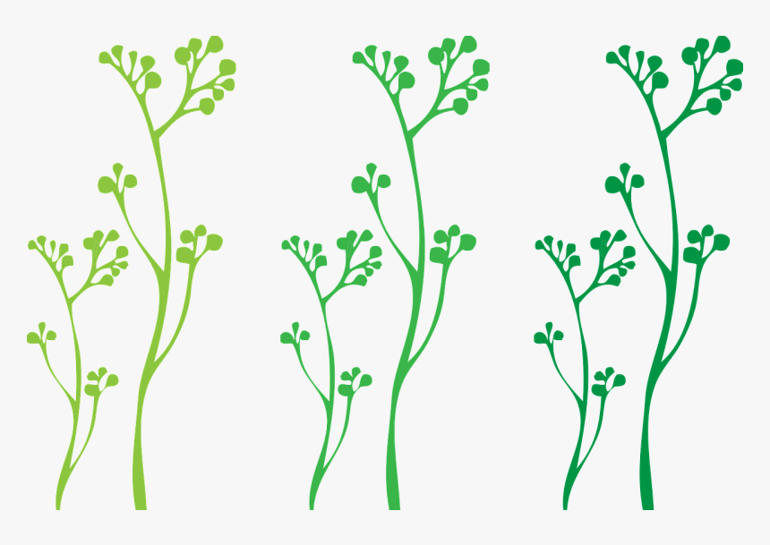 Svg Plants, HD Png Download, Free Download