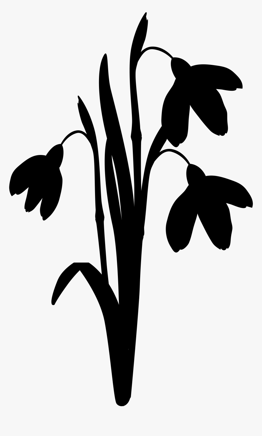 Clip Art Leaf Silhouette Line Plant Stem - Illustration, HD Png Download, Free Download