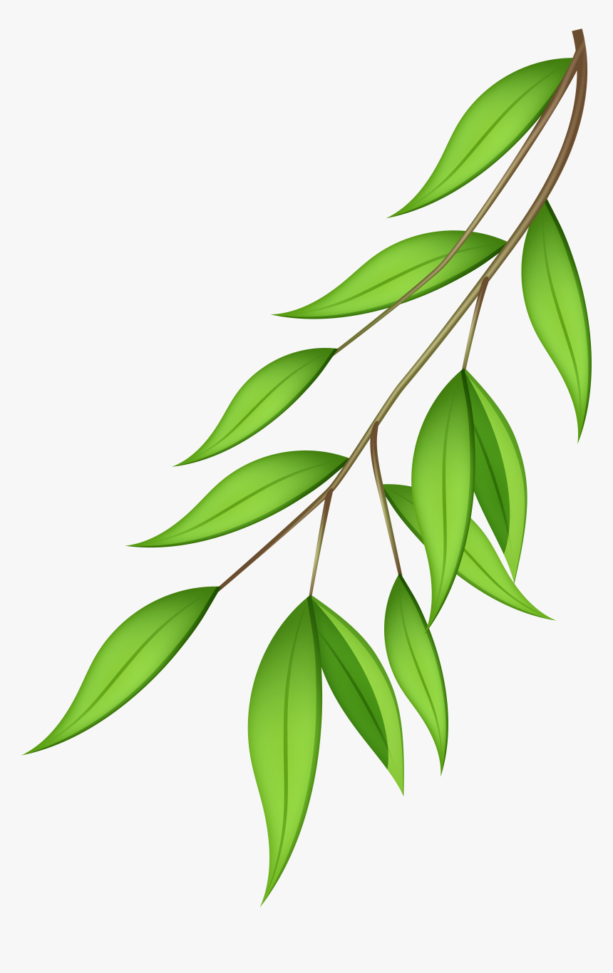 Green Branch Png Clip - Clip Art, Transparent Png, Free Download