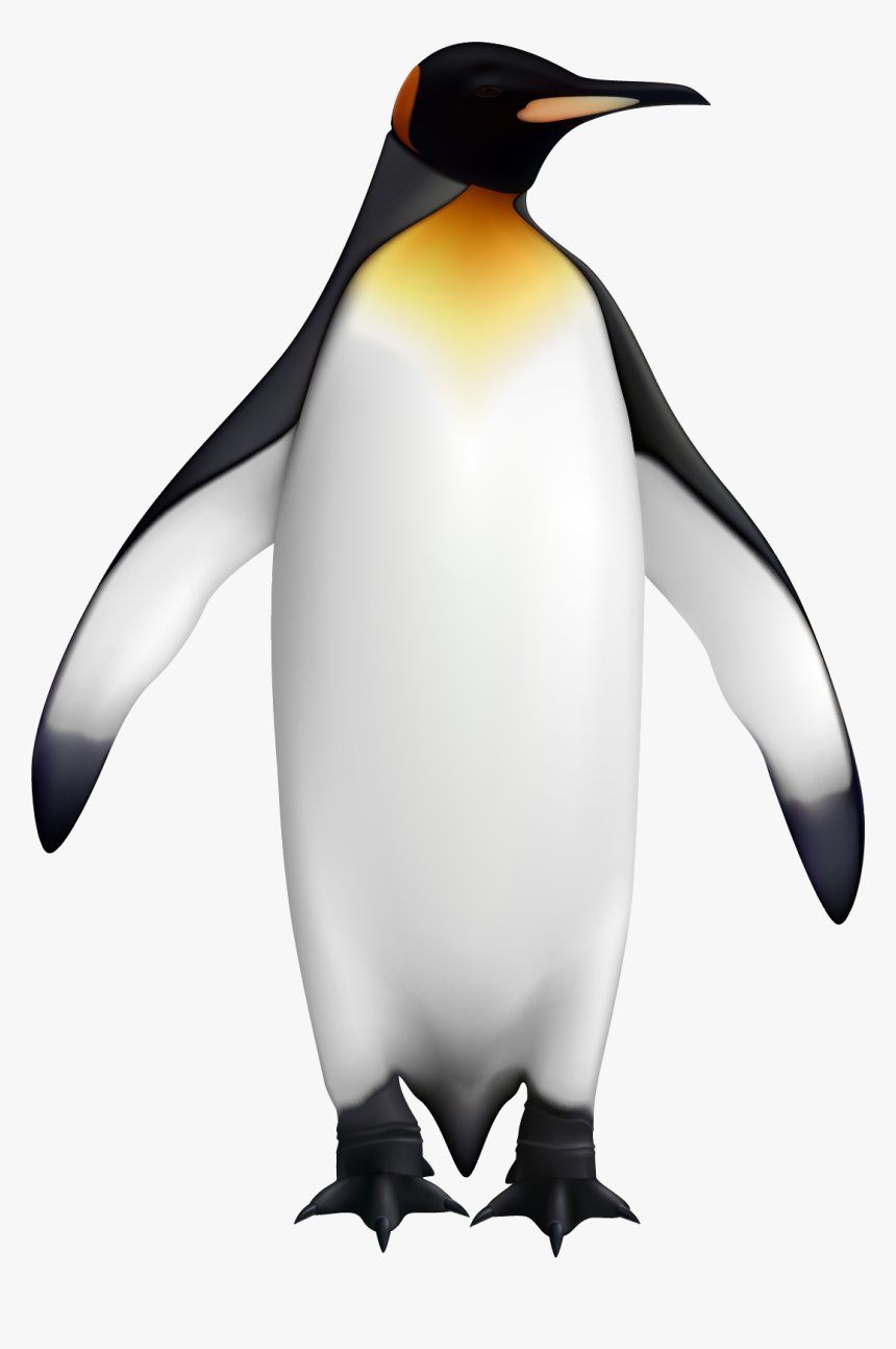 Side View Of Penguin, HD Png Download, Free Download