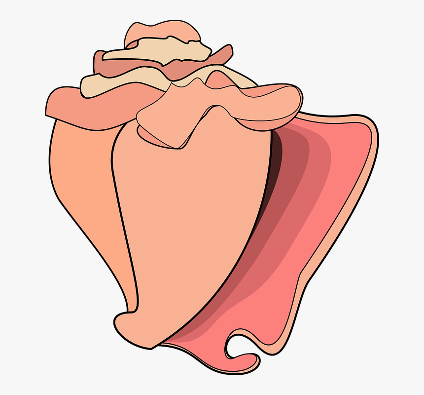 Graphic, Conch, Conch Shell, Shell, Ocean, Beach - Cartoon Conch, HD Png Download, Free Download