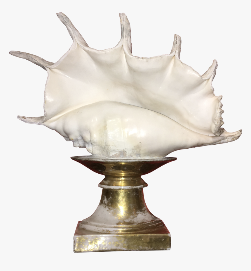 Transparent Conch Png - Lamp, Png Download, Free Download