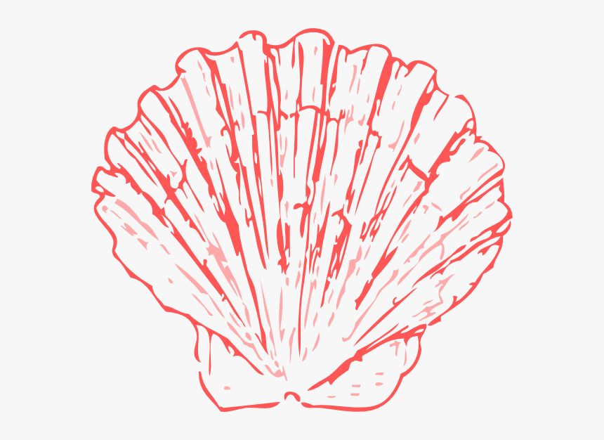 Sea Coral Png - Scallop Shell Clip Art, Transparent Png, Free Download