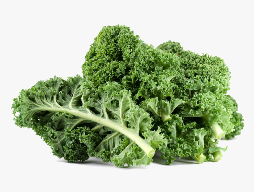 Kale Png File - Kale Food, Transparent Png, Free Download