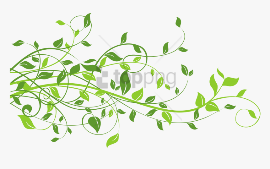 Free Png Spring Border Png Png Image With Transparent - Green Leaves Clipart Png, Png Download, Free Download