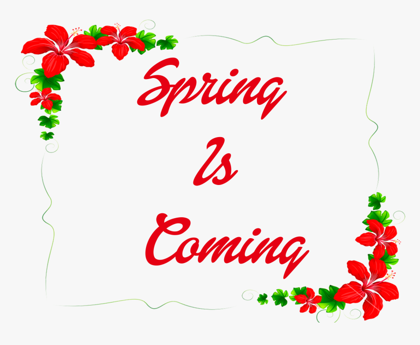 Spring Is Coming Png Photo - Bordas De Flores Vermelhas, Transparent Png, Free Download