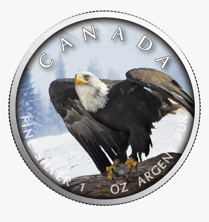 Ibca201957 1 - Maple Leaf Bald Eagle Cana Coin, HD Png Download, Free Download