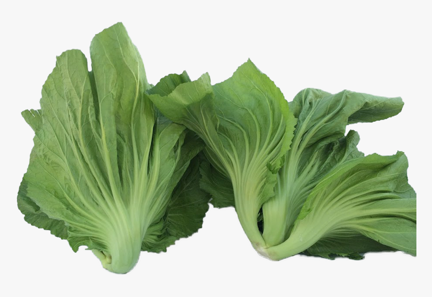 Collard Greens, HD Png Download, Free Download