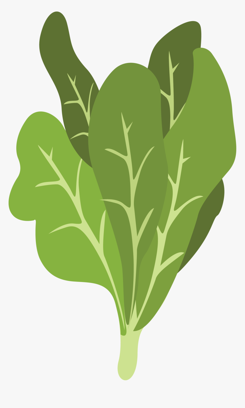 Chard, HD Png Download, Free Download