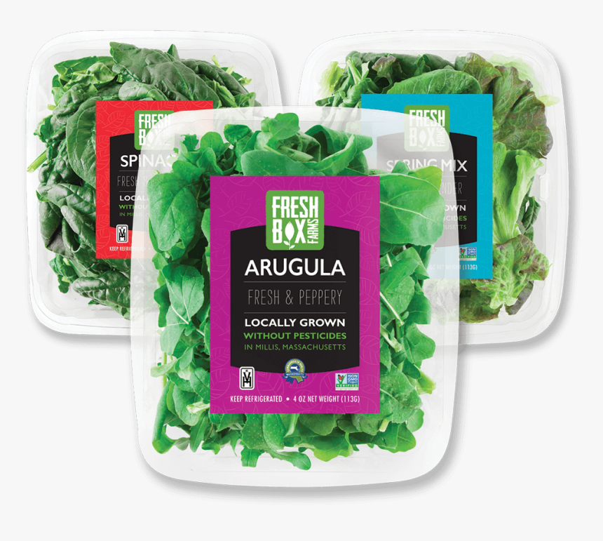 Food Poisoning - Arugula Grow Hydroponic, HD Png Download, Free Download