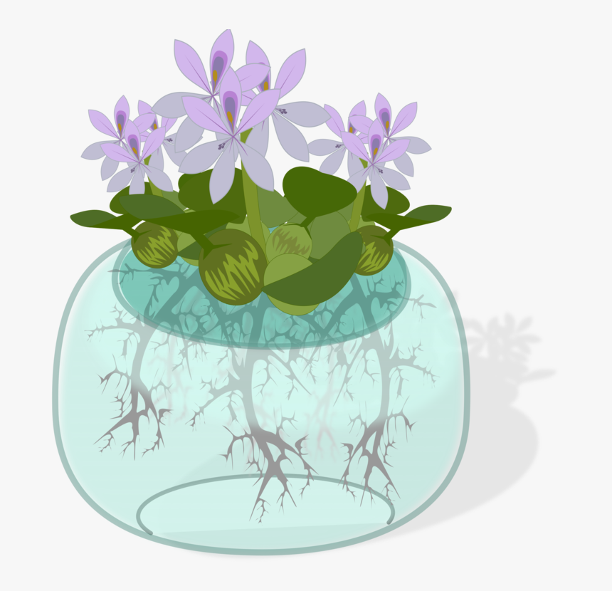 Plant,flora,petal - Plant On Water Clipart, HD Png Download, Free Download