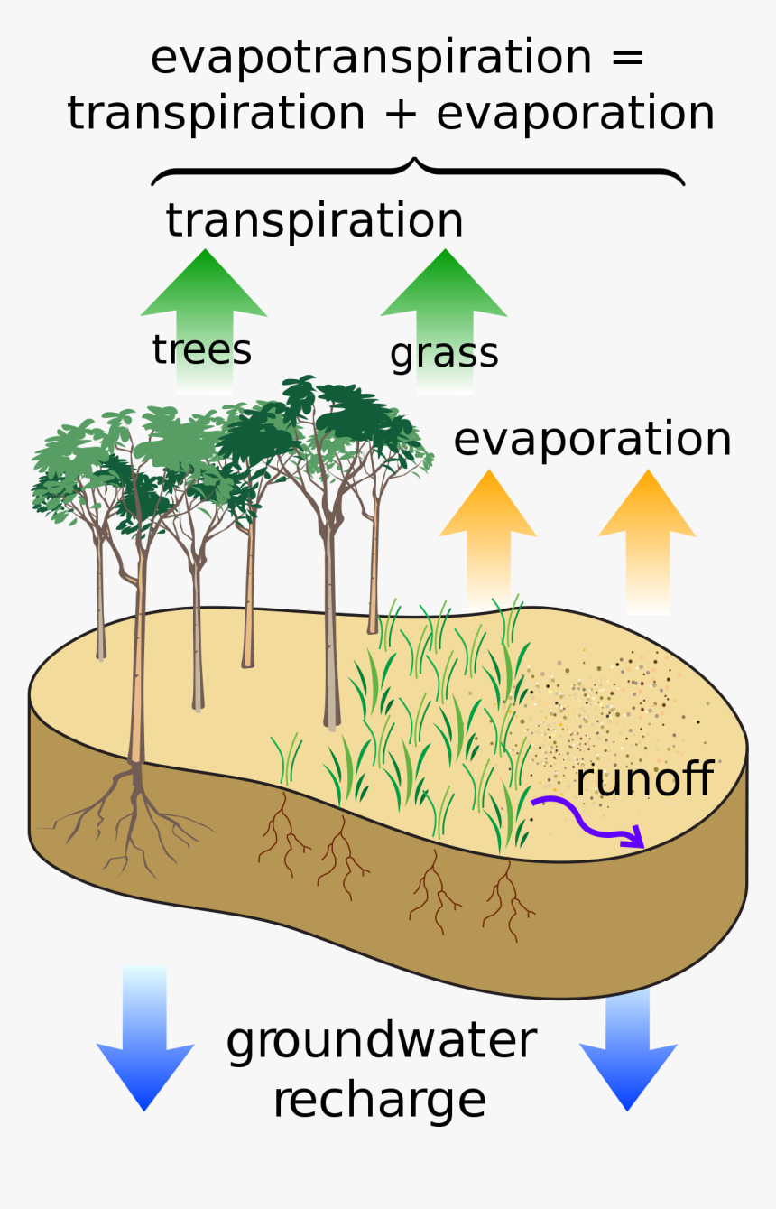 Evaporation And Evapotranspiration, HD Png Download, Free Download