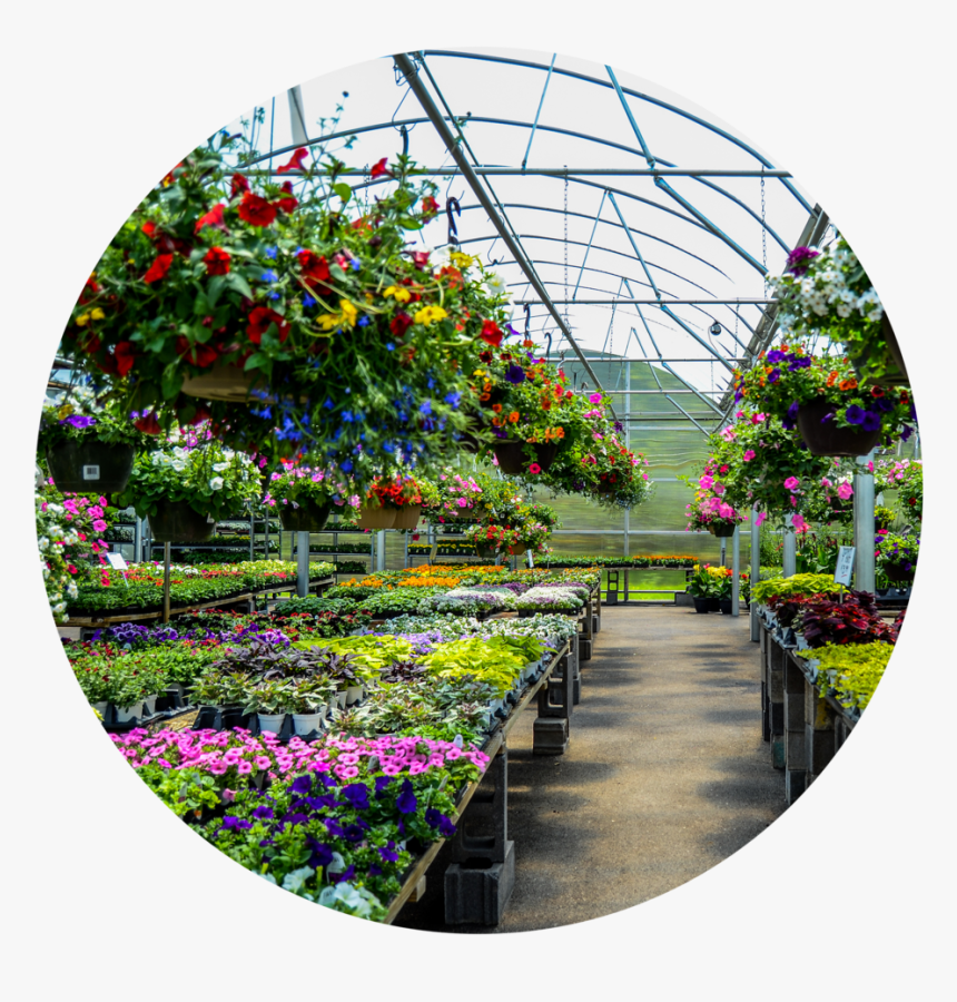 Circle Cropdsc 5729 - Greenhouse, HD Png Download, Free Download