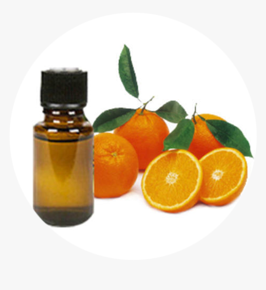 Orange Oil Png, Transparent Png, Free Download