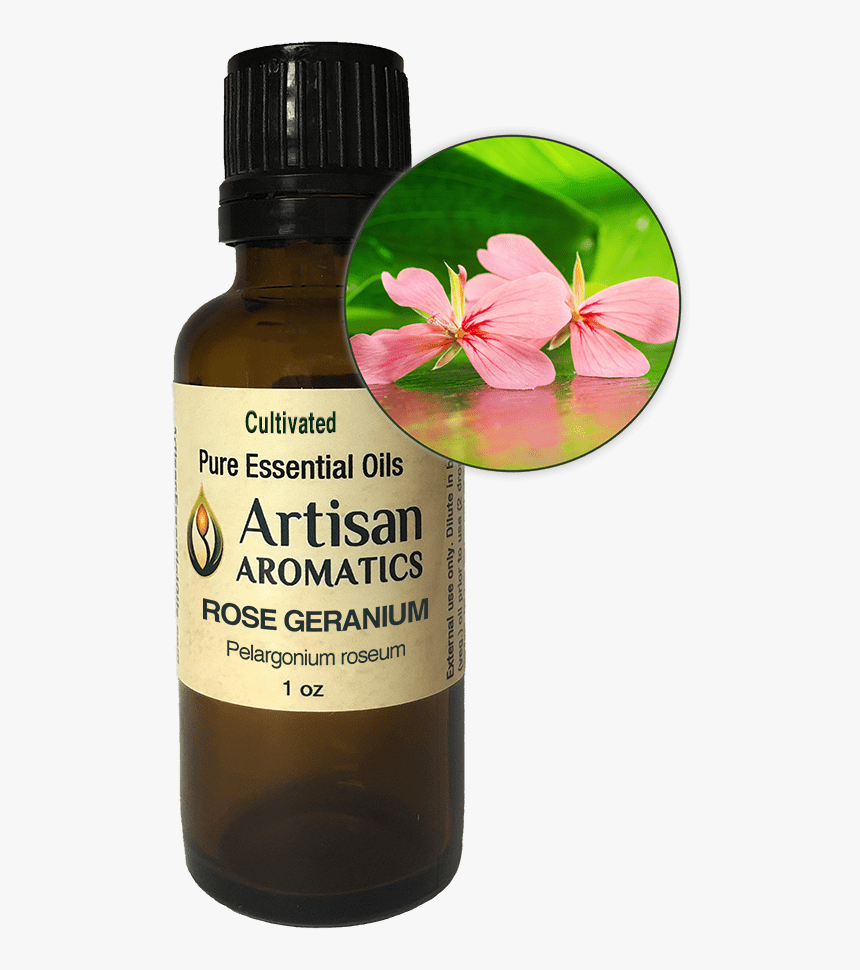 Rose Geranium Essential Oil - Red Clover, HD Png Download, Free Download