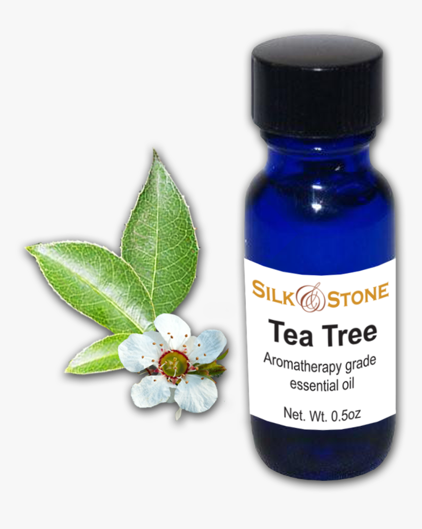 Tea Tree Esential Oil - Jasmine, HD Png Download, Free Download