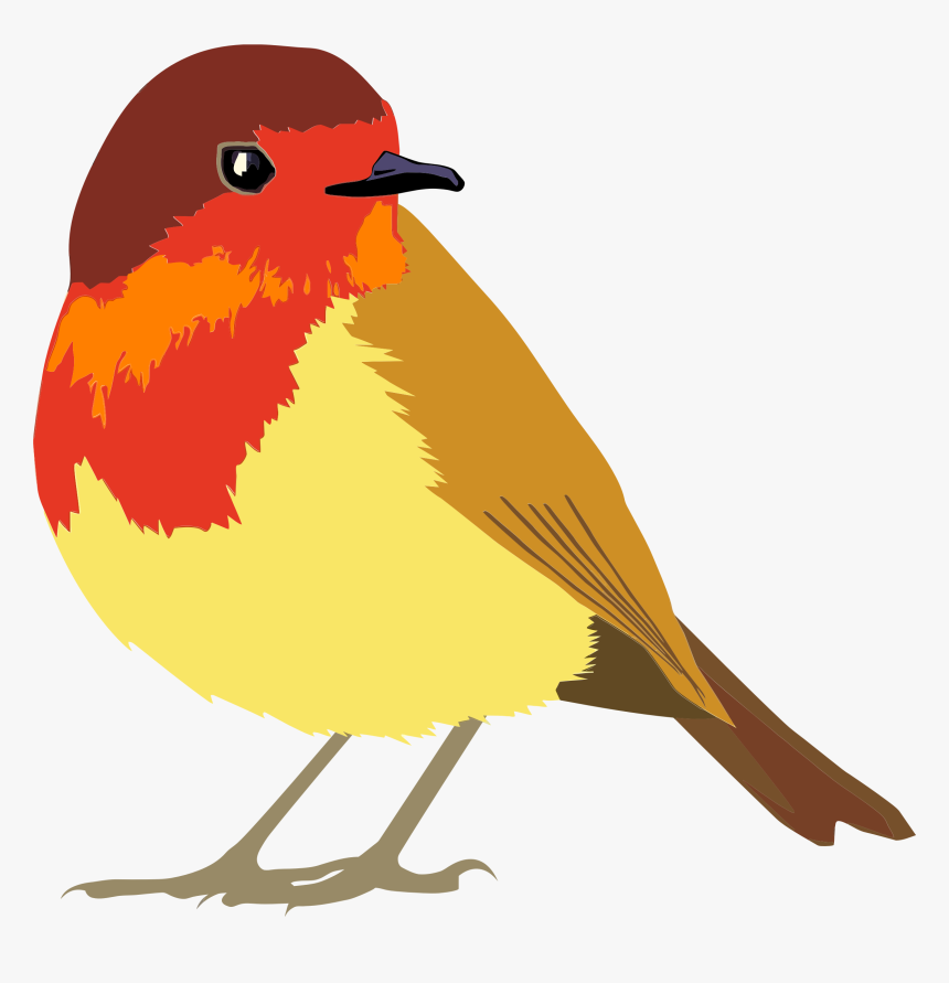 Vector Transparent Download Clipart Robin Bird - Robin Bird Clipart Png, Png Download, Free Download