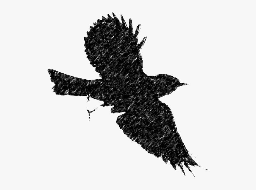 Bird Flight European Robin Silhouette Clip Art - Bird Flying Silhouette Png, Transparent Png, Free Download