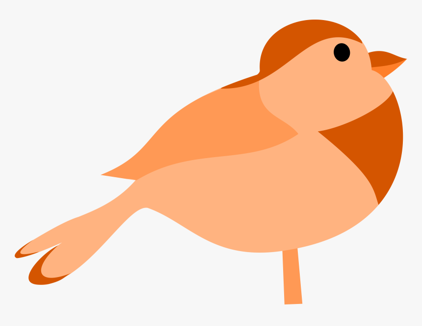 Vector Orange Cartoon - Bird Clip Art, HD Png Download, Free Download