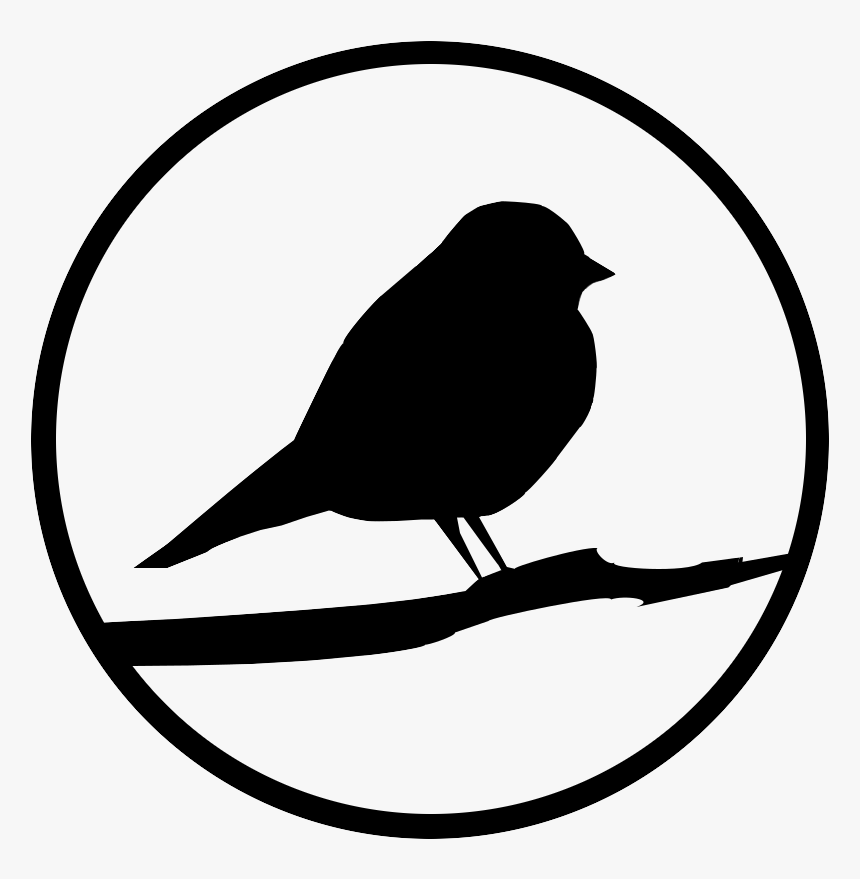 Transparent Robin Bird Clipart - Robin Clip Art Black And White, HD Png Download, Free Download