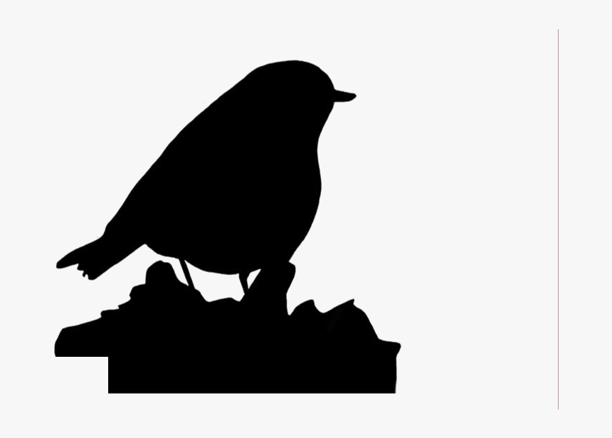 Robin Bird Png Transparent Images - Perching Bird, Png Download, Free Download