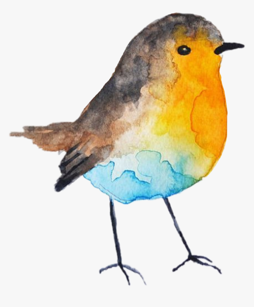 Transparent Robin Bird Clipart - Cute Little Birds Watercolour, HD Png Download, Free Download