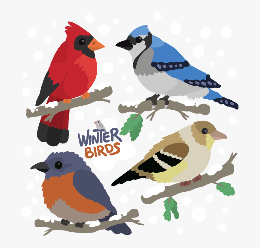 Transparent Bird On Branch Clipart - Northern Cardinal, HD Png Download, Free Download