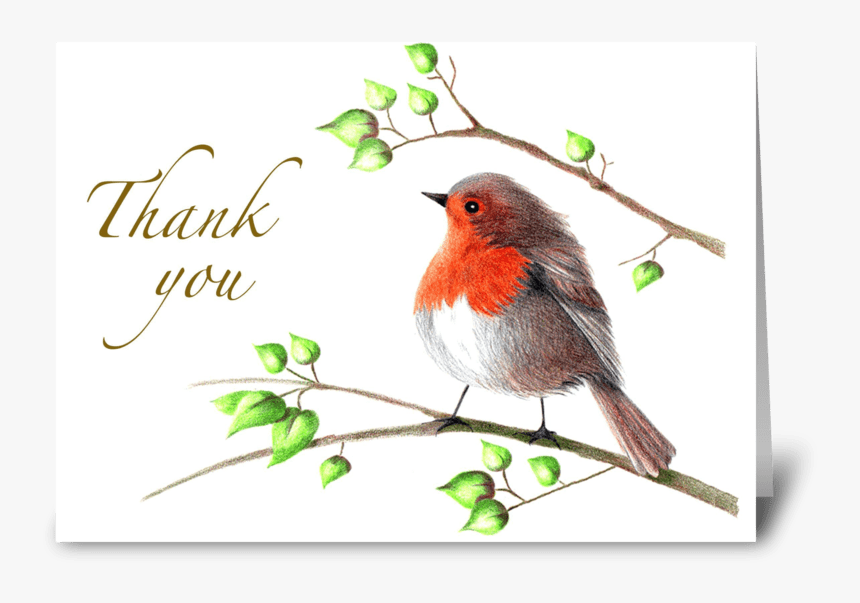 English Robin Greeting Card - Thank You, HD Png Download, Free Download