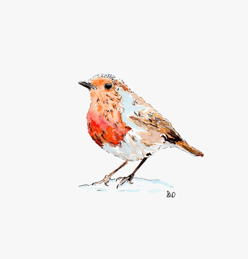 European Robin Drawing Paper Bird Watercolor Painting - Robin Bird Transparent Drawing, HD Png Download, Free Download